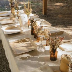 Dĩa MoCau Vuông Cao Cấp – Trang Trí Tiệc Tinh Tế