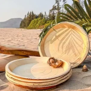 Đĩa Mo Cau Tròn – An Toàn & Thân Thiện Môi Trường